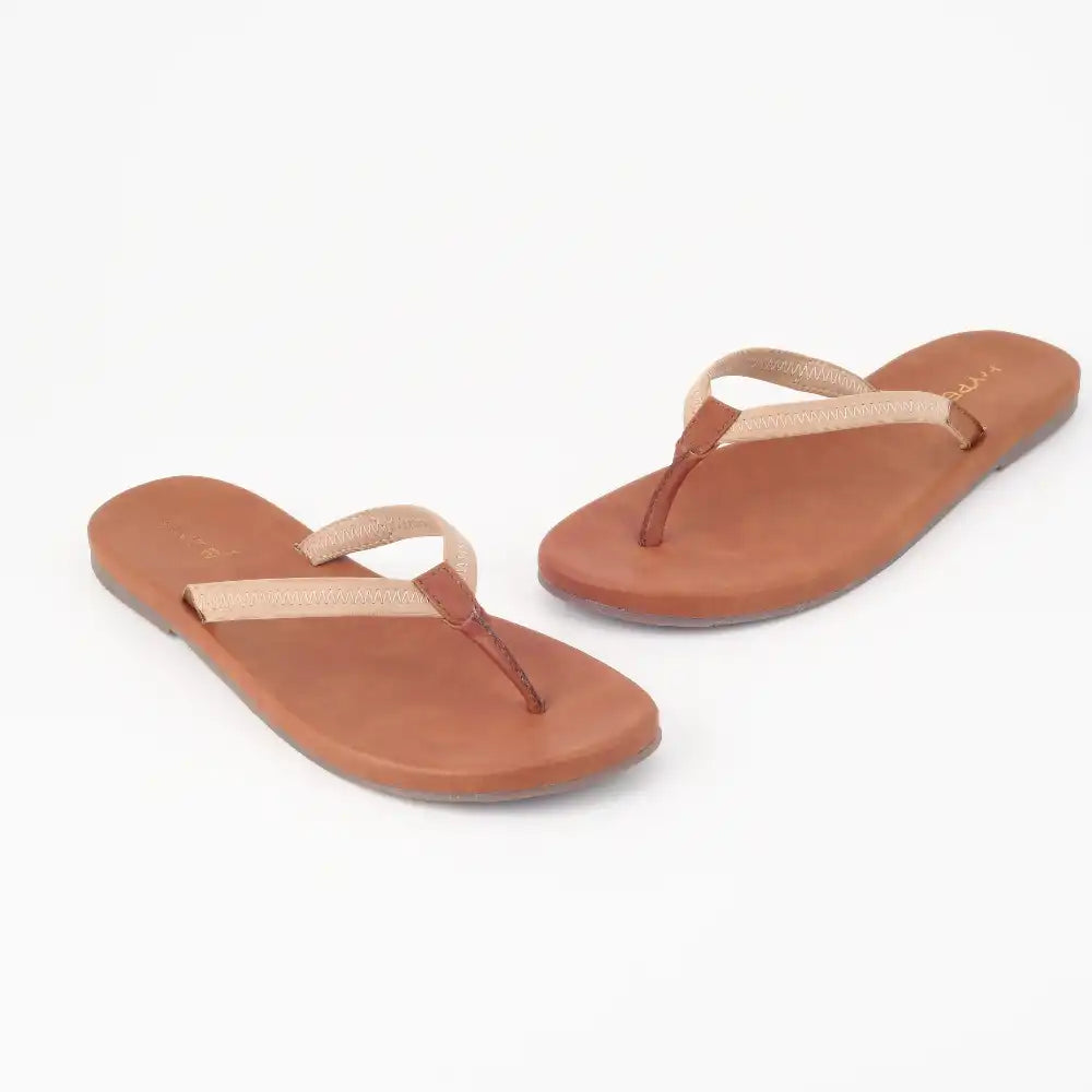 Collection of Carol in a gallery layout