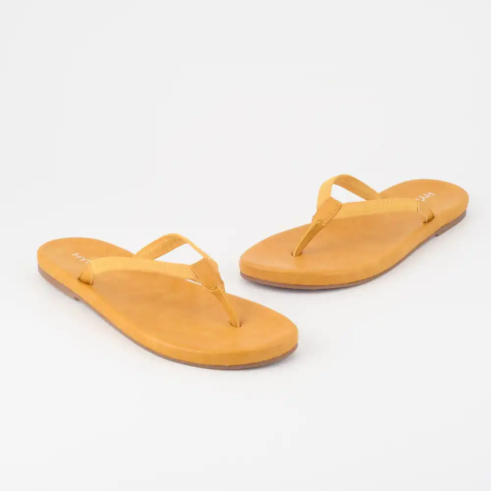 Collection of Carol in a gallery layout