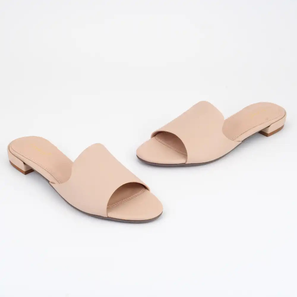 Collection of  in a gallery layout