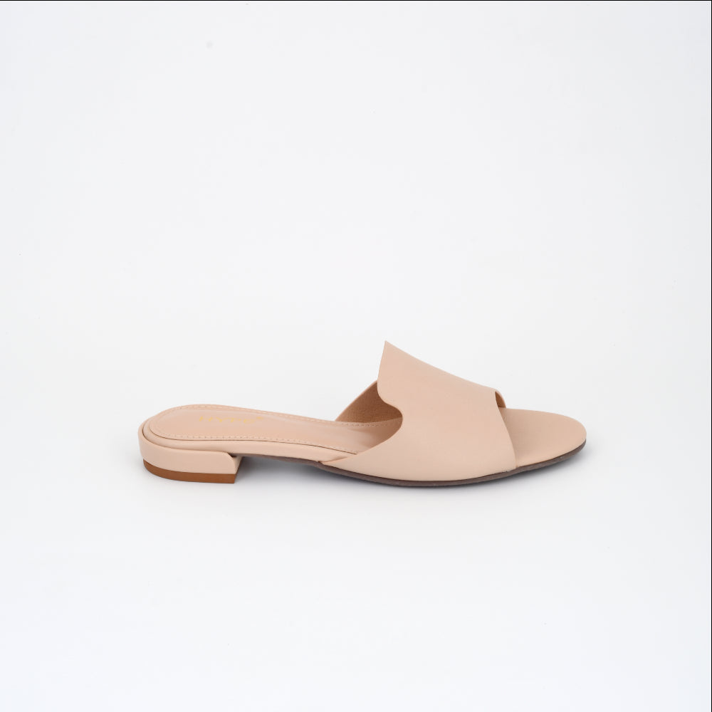 Collection of  in a gallery layout