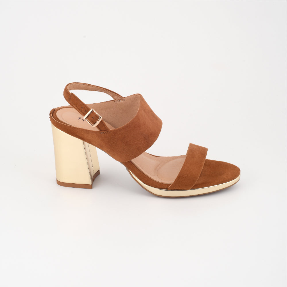 Collection of  in a gallery layout